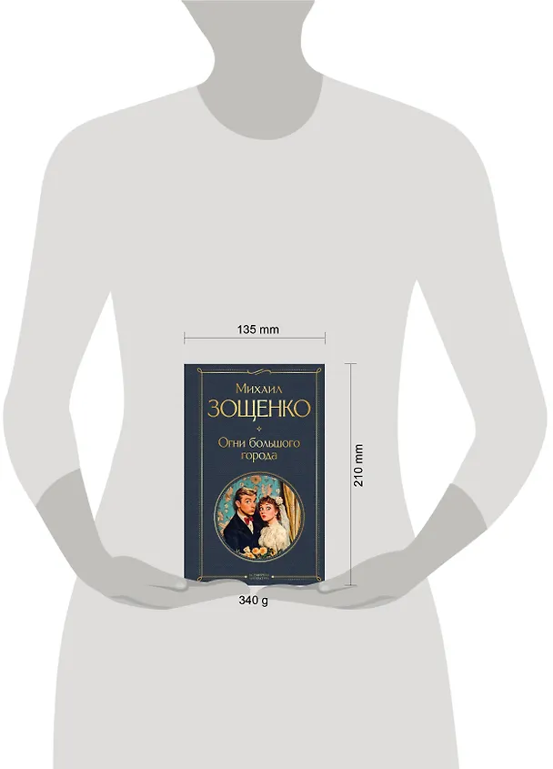 Книга Огни большого города (Михаил Зощенко) — 5