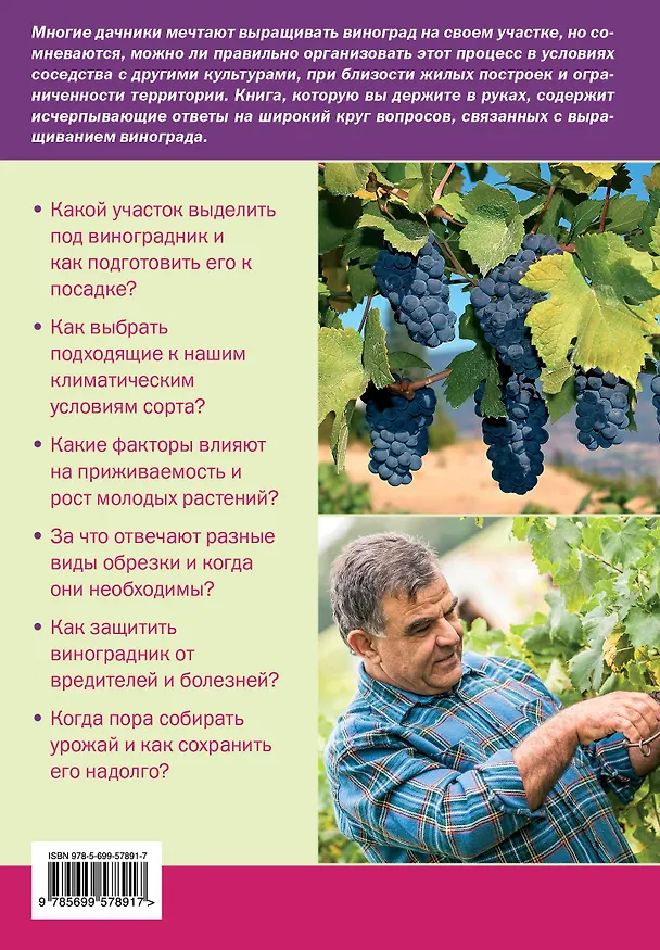 Книга Ваш домашний виноградник (Анастасия Колпакова) — 2