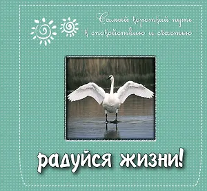 Радуйся жизни! Самый короткий путь к спокойствию и счастью. Подарочное издание