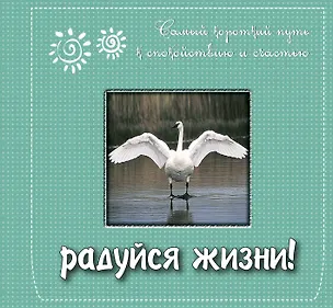 Книга Радуйся жизни! Самый короткий путь к спокойствию и счастью. Подарочное издание ()