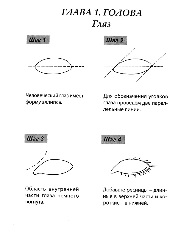 Скетчбук А5 Уроки рисования по шагам. Анатомия человека 2905532 — 2