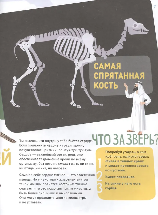 Книга Поразительные животные: кости и скелеты (Ксения Евдокимова) — 4
