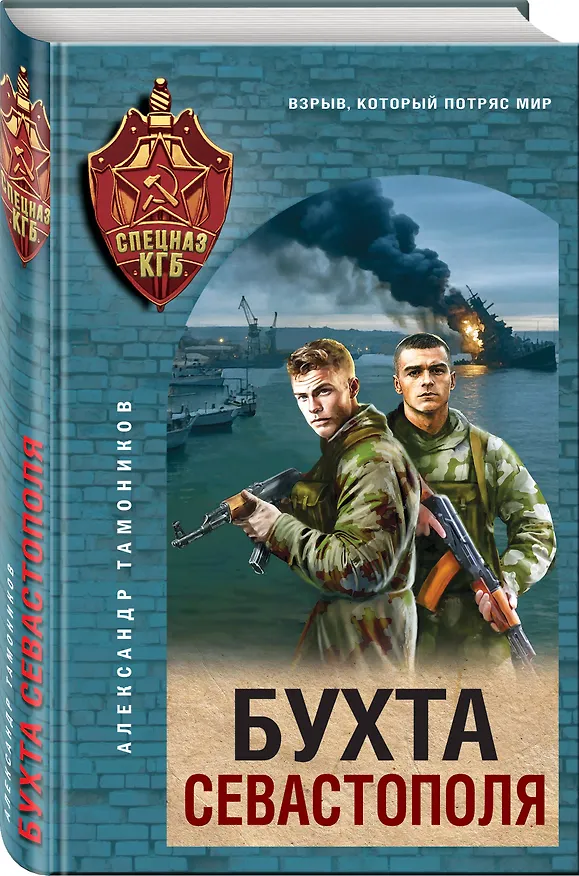 Книга Бухта Севастополя (Александр Тамоников) — 4