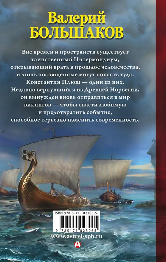 Книга Викинг туманного берега (Валерий Большаков) — 2