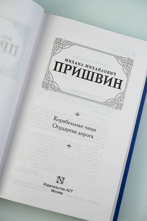 Книга Корабельная чаща. Осударева дорога (Михаил Пришвин) — 9