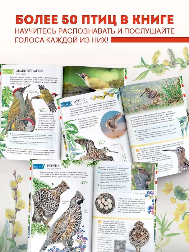 Книга Непевчие птицы. Средняя полоса европейской части России. Определитель с голосами птиц (Евгений Коблик) — 6