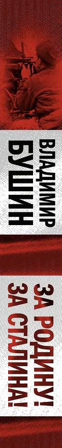 Книга За Родину! За Сталина! (Владимир Бушин) — 3