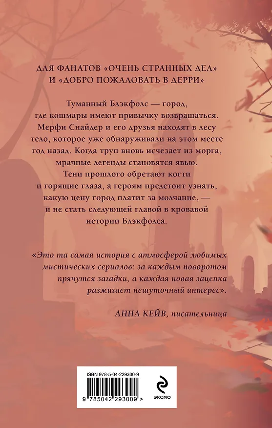 Книга Тайна Блэкфолса (Наташа Даркмун) — 2