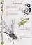 В джунглях не только тигры. Бабочки-стрекозки — 2759357 — 2