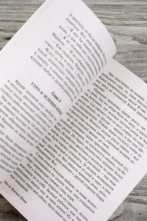 Книга Энн из Зеленых Крыш (Люси Мод Монтгомери) — 12