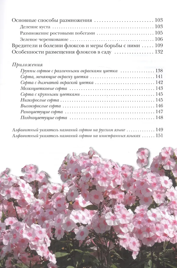 Книга Флоксы метельчатые (Игорь Матвеев) — 3