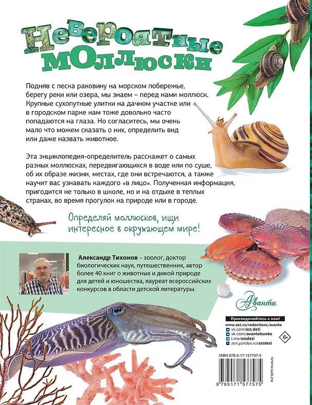 Книга Моллюски, кораллы, морские звезды, морские ежи (Александр Тихонов) — 2