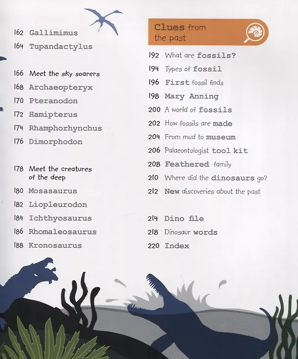 Книга My Encyclopedia of Very Important Dinosaurs: For Little Dinosaur Lovers Who Want to Know Everything (J. Mitchem) — 8