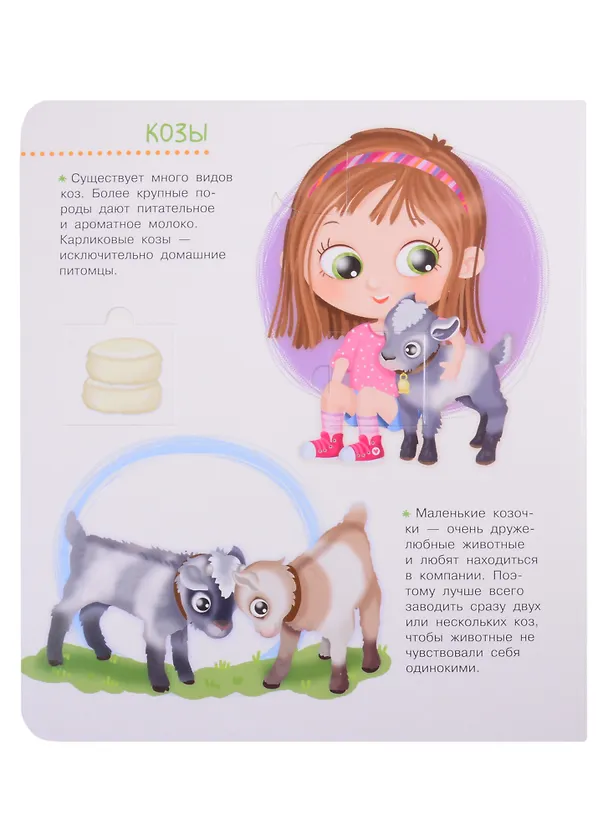 Книга Что? Почему? Зачем? Домашние животные. 50 волшебных окошек (Иллария Барсотти) — 4
