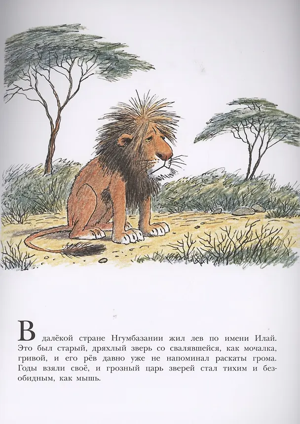 Книга Лев по имени Илай (Билл Пит) — 2