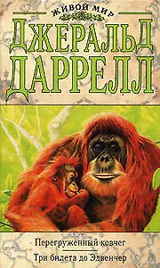 Перегруженный ковчег.Три билета до Эдвенчер