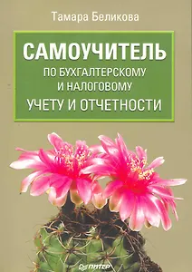 Самоучитель по бухгалтерскому и налоговому учету и отчетности