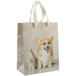 Пакет А5 23*18*10 "Друзья.Basic" нейтр., бум.мат.ламинат