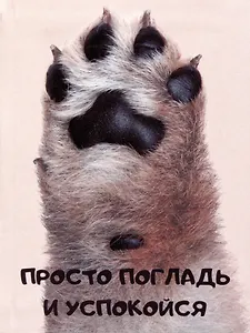 Книга для записей А6 80л кл. "Просто погладь" инт.переплет, ламинация soft touch, выб.УФ-лак, офсет