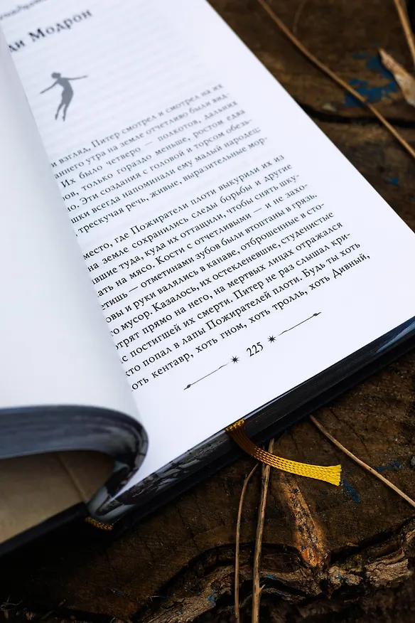 Книга Похититель детей (Джеральд Бром) — 18