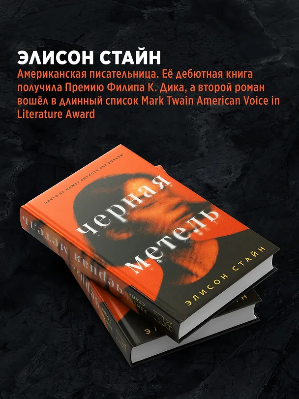 Книга Черная метель (Элисон Стайн) — 7