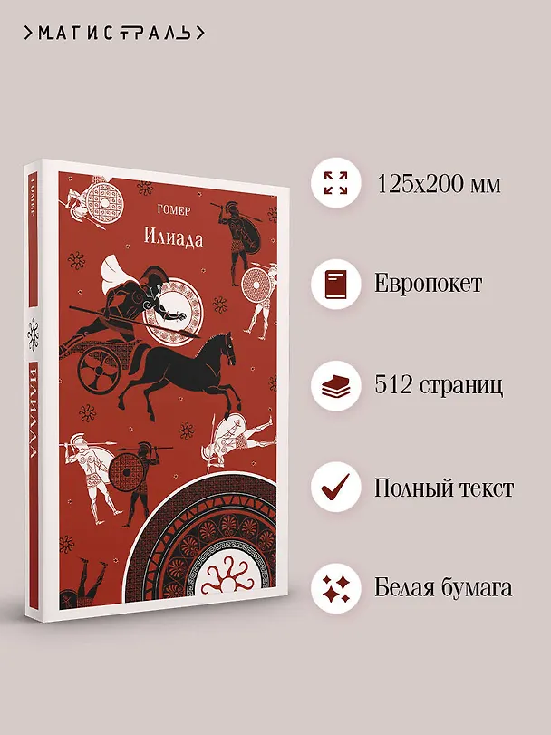 Книга Илиада (Гомер) — 6