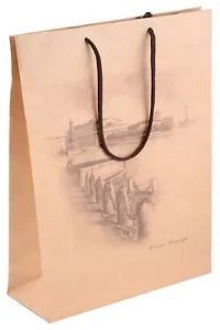 Пакет Медный всадник  "Стрелка Васильевского Острова", 25х35, желтый, бумажный