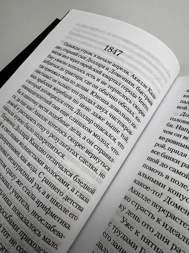 Книга Берег печалей (Даниэла Раймонди) — 13