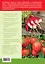 365 советов огороднику. Все работы на участке — 2410815 — 2
