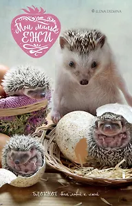 Мои милые ежи. Блокнот для людей и ежей