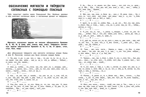 Книга 30000 тренировочных заданий по русскому языку. 1 класс (Владимир Королев) — 6
