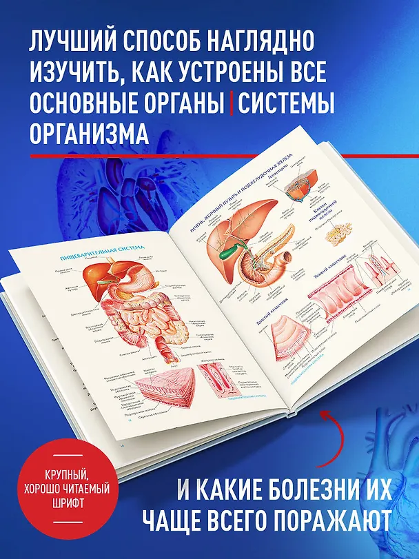 Книга Анатомия человека. Популярный атлас. Самые подробные анатомические изображения () — 9