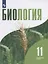 Биология. 11 класс. Учебник. Углубленный уровень — 2732616 — 1