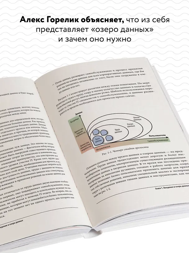 Книга Корпоративное озеро больших данных. Новый подход к использованию Big Data и Data Science в бизнесе (Алекс Горелик) — 6