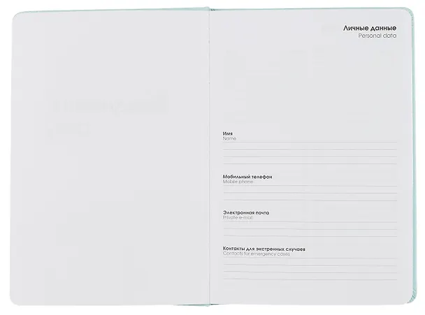 Ежедневник недат. А5 128л "SYNONIMS" 2, иск.кожа 7Б, тв.переплет, поролон, скругл.углы, офсет 2993822 — 4