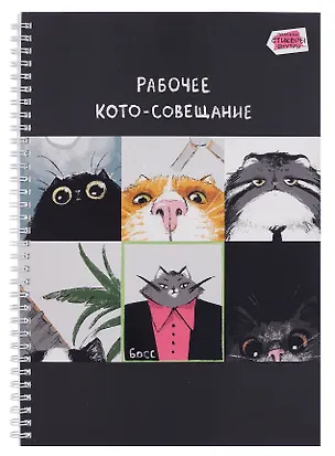 Тетрадь А4 80 листов в клетку "Кото-совещание", наклейки, на спирали 3083989