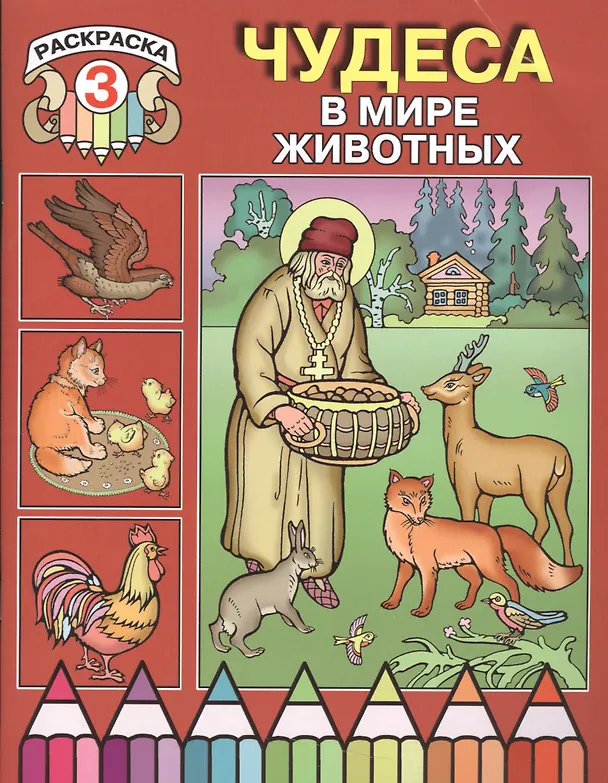 Книга Чудеса в мире животных. Раскраска 3 () — 1