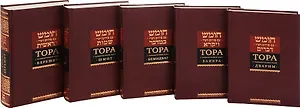 Тора с комментариями Раши (комплект из 5 книг)