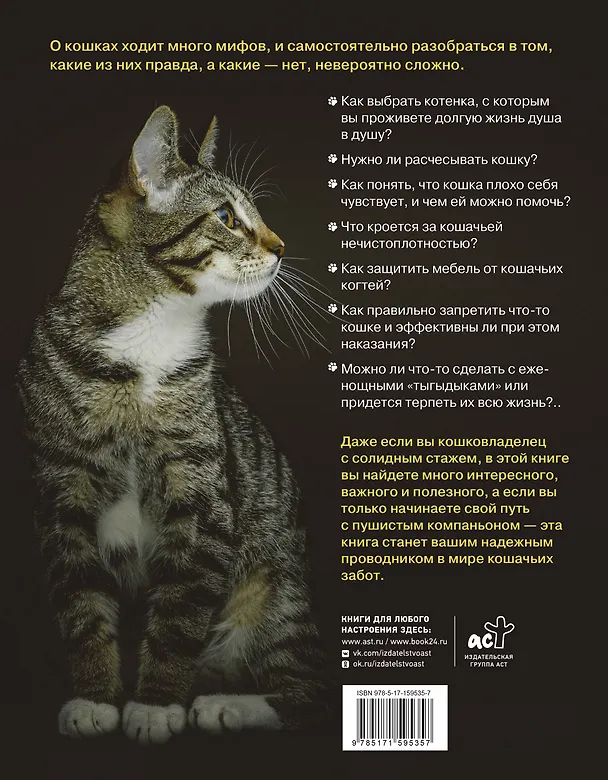 Книга Главная книга владельца кошки (Анна Орлова) — 2