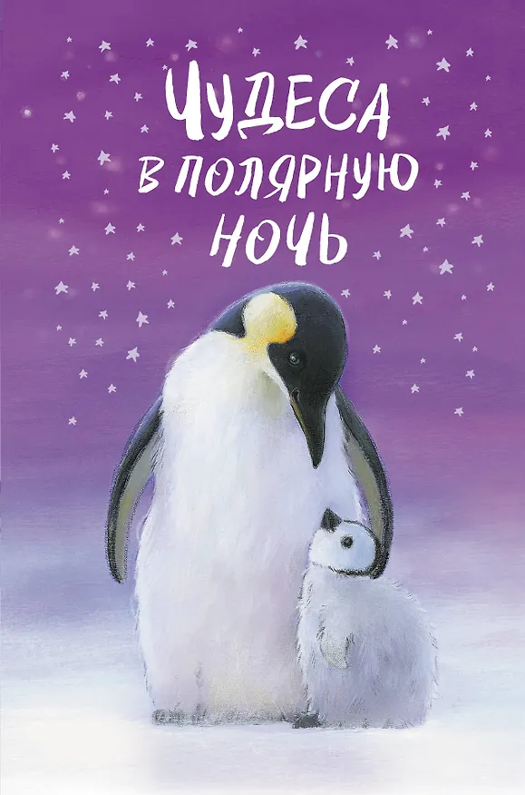 Книга Чудеса в полярную ночь () — 1