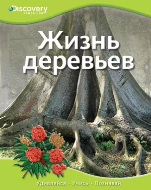 Жизнь деревьев — 2387084 — 1