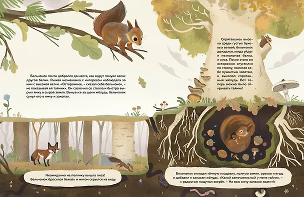 Книга Кто живёт в лесу? Иллюстрированный атлас животных (Алтея Вилла) — 15
