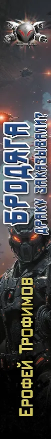 Книга Бродяга. Драку заказывали? (Ерофей Трофимов) — 3