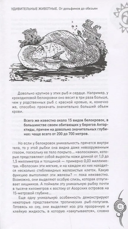 Книга Удивительные животные. От дельфинов до обезьян (Анатолий Бернацкий) — 9