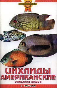 Цихлиды американские. Описание видов