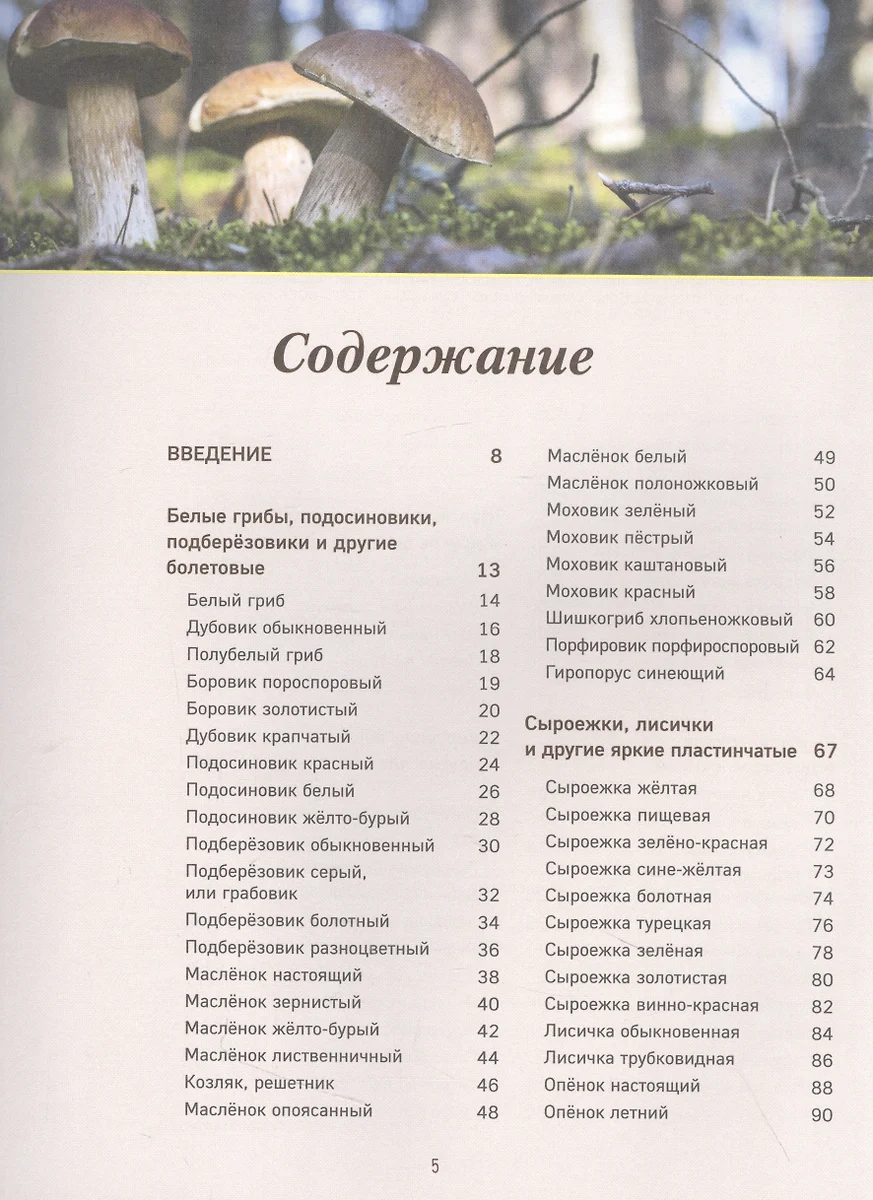 Грибы. Иллюстрированный гид по популярным видам (Алина Ярощук) - купить  книгу с доставкой в интернет-магазине «Читай-город». ISBN: 978-5-699-82229-4