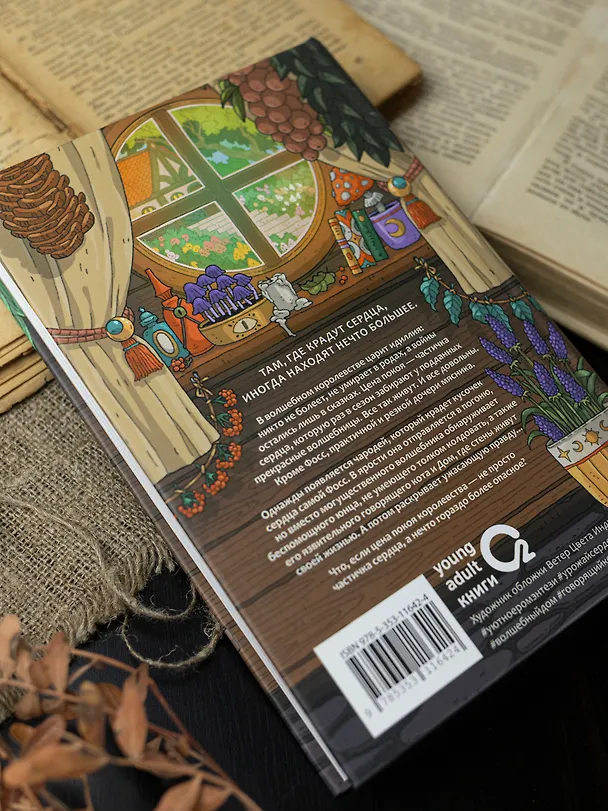 Книга Там, где крадут сердца (Андреа Имз) — 6
