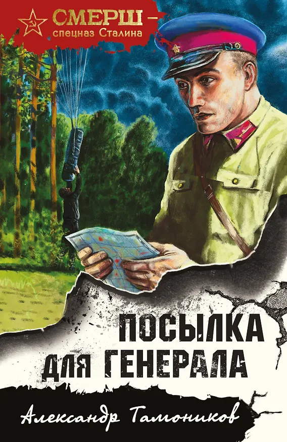 Книга Посылка для генерала (Александр Тамоников) — 1