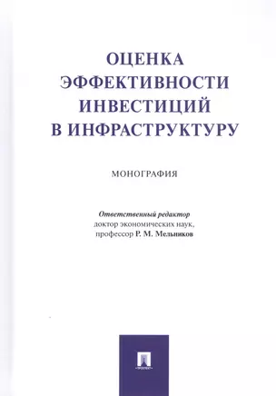 Оценка эффективности инвестиций в инфраструктуру. Монография — 2812477 — 1