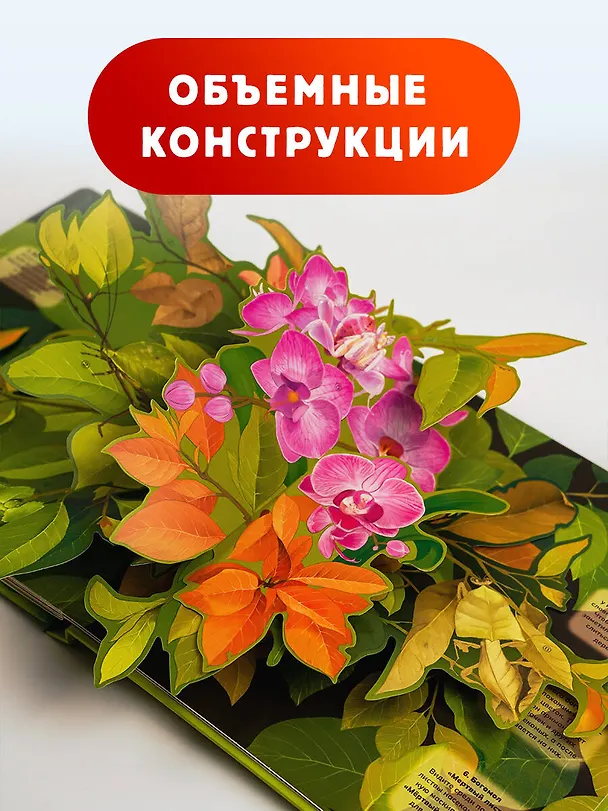 Книга Насекомые () — 6